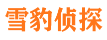 迎泽市私家侦探